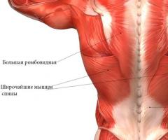 Какими способами можно расслабить мышцы спины и снять спазм