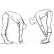 Cum să tratezi coloana vertebrală cu ajutorul educației fizice: exerciții de gimnastică Amosov Amosov