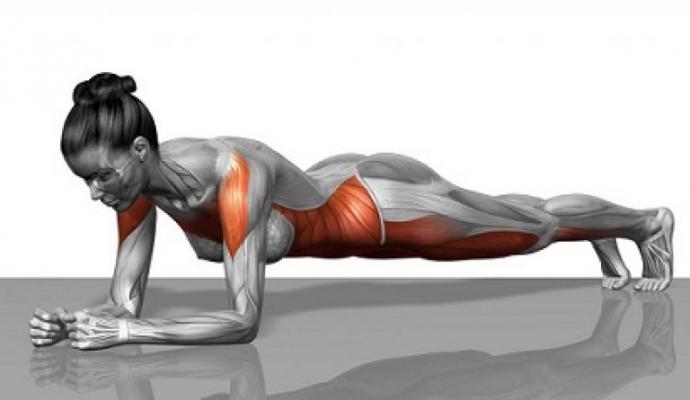 Core muscles: training your center Training for the core muscles
