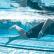 Metode de selectare a înotătorilor talentați utilizate de antrenorii sovietici
