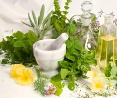 Herbs for weight loss, herbal and drink recipes